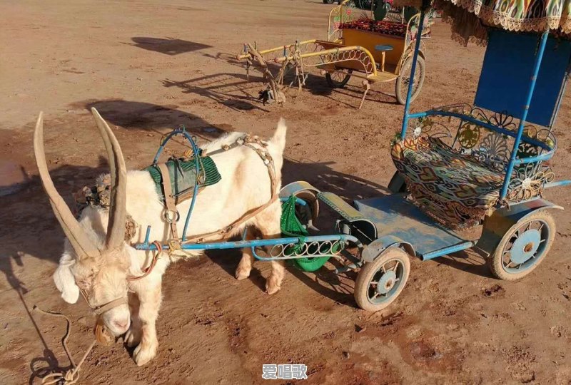 迄今为止,你去过多少个地方?有几个是说走就走的旅行 迄今为止,你去过多少个地方?有几个是说走就走的旅行 - 爱唱歌