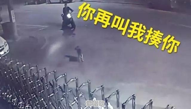 到场粤语歌曲 到场粤语歌曲 - 爱唱歌