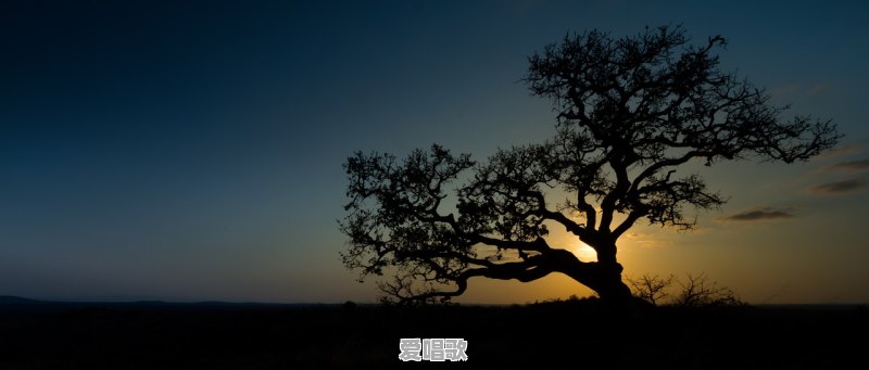 歌曲(人间第一情)歌词 歌曲(人间第一情)歌词 - 爱唱歌