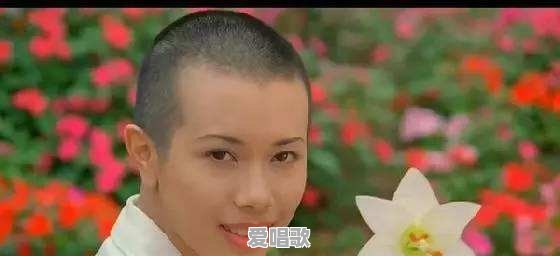 你看过的特别搞笑的恐怖片有哪些 你看过的特别搞笑的恐怖片有哪些 - 爱唱歌
