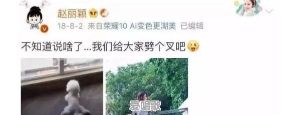 有哪些娱乐新闻听起来很“扯”甚至很搞笑,但最终被证实是真实发生过的事情 有哪些娱乐新闻听起来很“扯”甚至很搞笑,但最终被证实是真实发生过的事情 - 爱唱歌