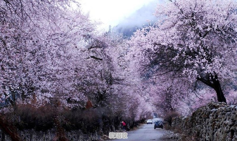 剧版《三生三世十里桃花》和电影版有什么区别 剧版《三生三世十里桃花》和电影版有什么区别 - 爱唱歌