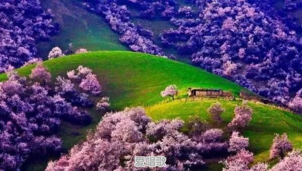 剧版《三生三世十里桃花》和电影版有什么区别 剧版《三生三世十里桃花》和电影版有什么区别 - 爱唱歌