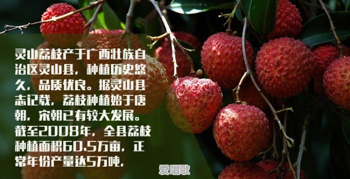 钦州人主要说什么话 钦州人主要说什么话 - 爱唱歌