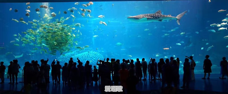 想去珠海玩三到五天，有什么旅游攻略 - 爱唱歌