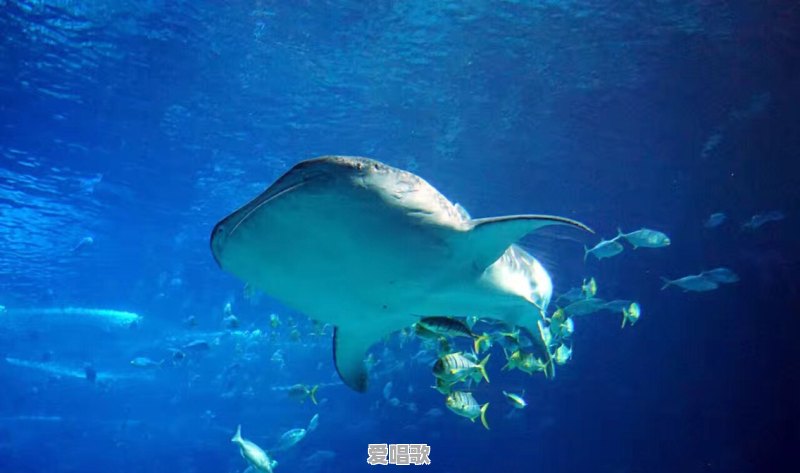 想去珠海玩三到五天，有什么旅游攻略 - 爱唱歌