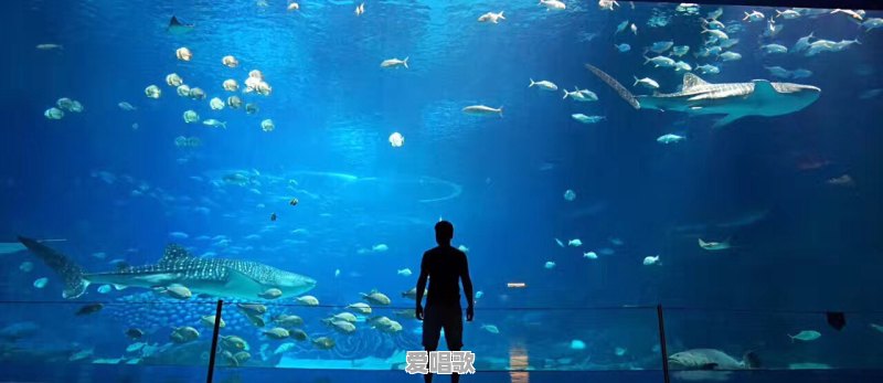 想去珠海玩三到五天，有什么旅游攻略 - 爱唱歌
