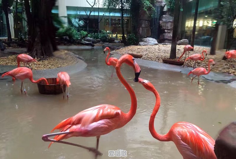 想去珠海玩三到五天，有什么旅游攻略 - 爱唱歌
