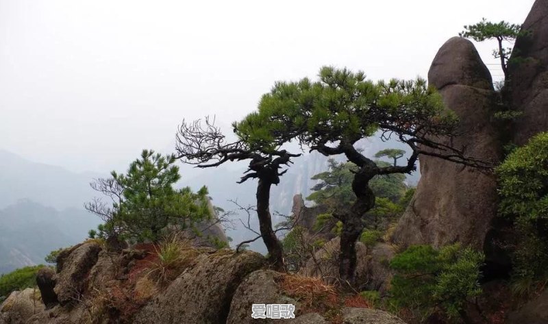 我要参加唱歌比赛,但是怕紧张到唱不出来,紧张到声音发抖怎么办 我要参加唱歌比赛,但是怕紧张到唱不出来,紧张到声音发抖怎么办 - 爱唱歌