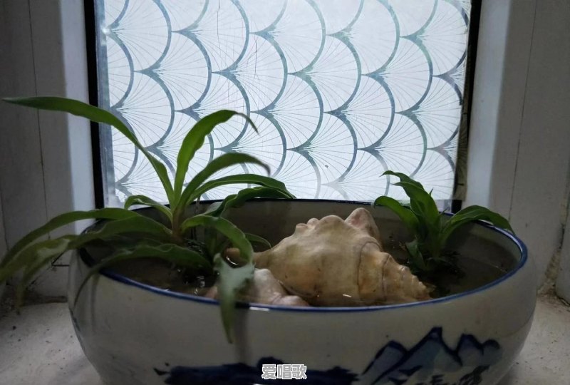 如果一个人死了，他会留下哪些东西 - 爱唱歌