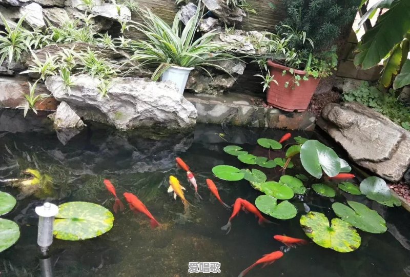 如果一个人死了，他会留下哪些东西 - 爱唱歌