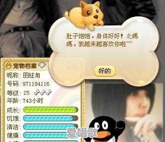 有哪些没有十年以上网龄就不会知道的事情 有哪些没有十年以上网龄就不会知道的事情 - 爱唱歌