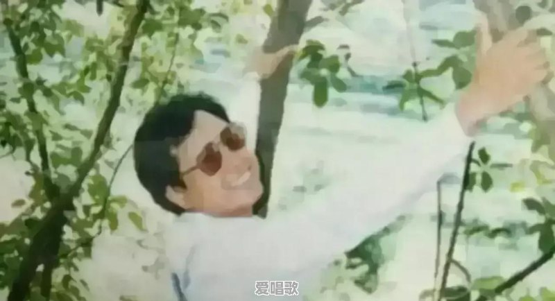 捂脸流行音乐 捂脸流行音乐 - 爱唱歌