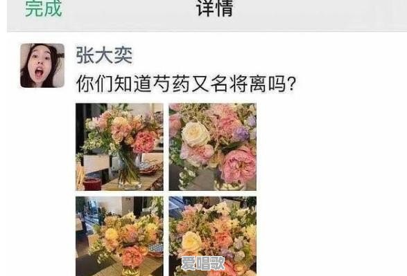阿里总裁道歉,网红张大奕到底什么来头 阿里总裁道歉,网红张大奕到底什么来头 - 爱唱歌