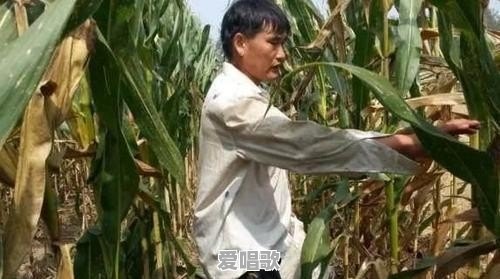 你听过最厚颜无耻的人,有多无耻 你听过最厚颜无耻的人,有多无耻 - 爱唱歌
