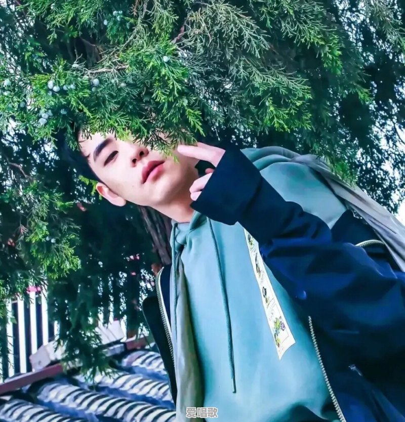 娱乐圈中最真实、不做作的男明星有谁 娱乐圈中最真实、不做作的男明星有谁 - 爱唱歌