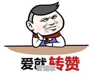 当年如日中天的四大顶级流量,鹿晗、李易峰、张艺兴、杨洋,谁能转型成实力派 当年如日中天的四大顶级流量,鹿晗、李易峰、张艺兴、杨洋,谁能转型成实力派 - 爱唱歌