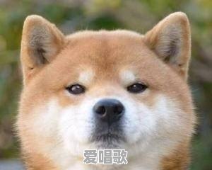 面对感情,父母不同意怎么办 面对感情,父母不同意怎么办 - 爱唱歌