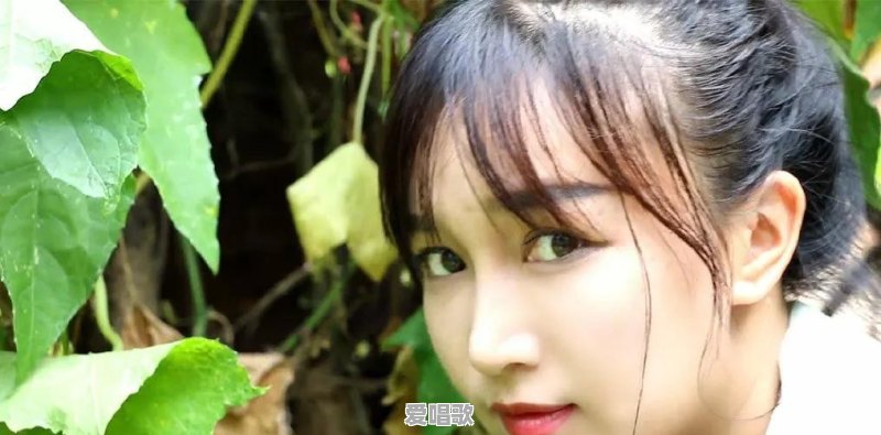 李子柒以后会不会不再更新视频了 李子柒以后会不会不再更新视频了 - 爱唱歌