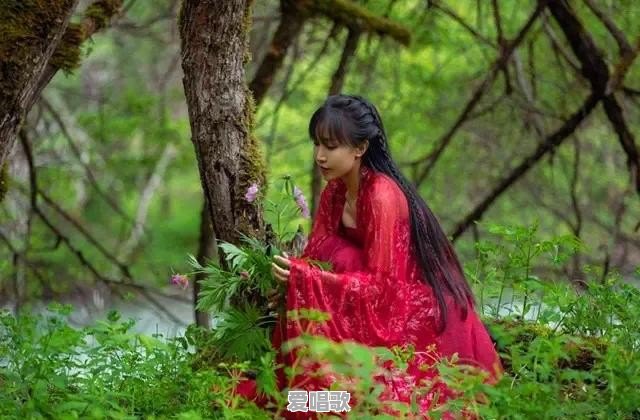 李子柒以后会不会不再更新视频了 李子柒以后会不会不再更新视频了 - 爱唱歌