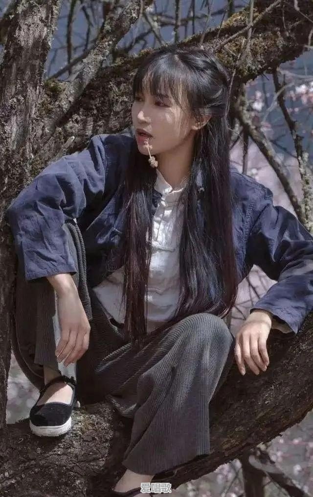 李子柒以后会不会不再更新视频了 李子柒以后会不会不再更新视频了 - 爱唱歌