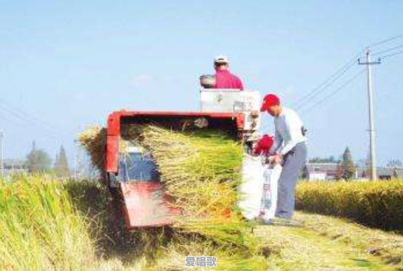 农村的生活是什么样的 农村的生活是什么样的 - 爱唱歌
