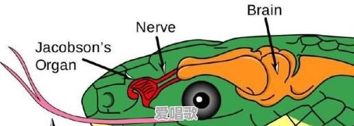 在不计其数的歌曲当中,哪首歌曲让你百听不厌 在不计其数的歌曲当中,哪首歌曲让你百听不厌 - 爱唱歌