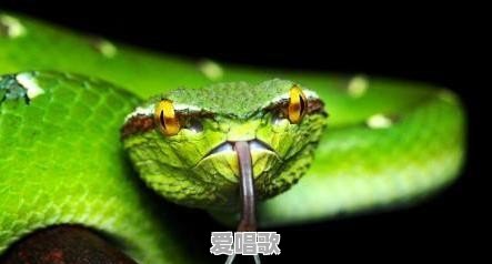 在不计其数的歌曲当中,哪首歌曲让你百听不厌 在不计其数的歌曲当中,哪首歌曲让你百听不厌 - 爱唱歌