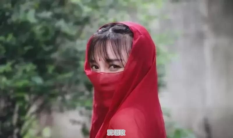 坐拥千万粉丝的李子柒为何突然停止更新了 坐拥千万粉丝的李子柒为何突然停止更新了 - 爱唱歌