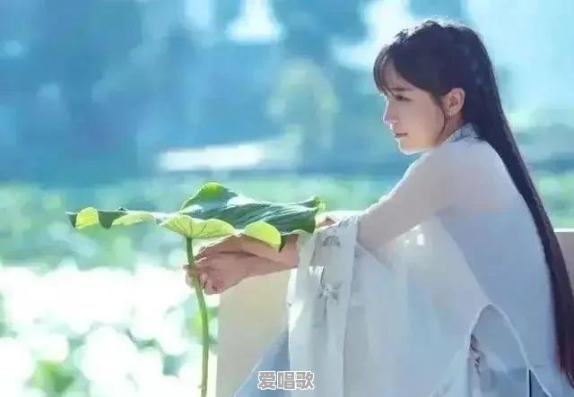 坐拥千万粉丝的李子柒为何突然停止更新了 坐拥千万粉丝的李子柒为何突然停止更新了 - 爱唱歌