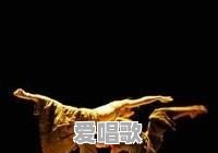 想跳流行歌曲学什么舞蹈 - 爱唱歌