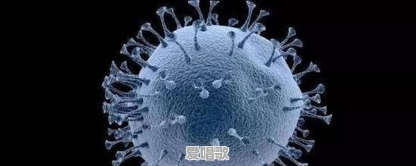 北京新发地的疫情大规模爆发是哪个环节出了问题 北京新发地的疫情大规模爆发是哪个环节出了问题 - 爱唱歌