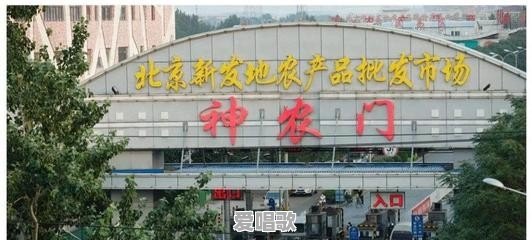 北京新发地的疫情大规模爆发是哪个环节出了问题 北京新发地的疫情大规模爆发是哪个环节出了问题 - 爱唱歌