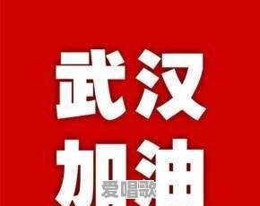 武汉的歌有哪些,急 武汉的歌有哪些,急 - 爱唱歌