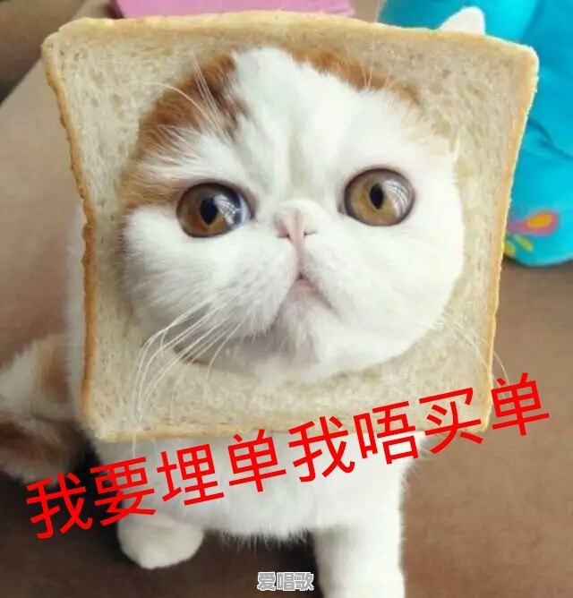 广州天河怎么会有几十万这么便宜的二手房 - 爱唱歌