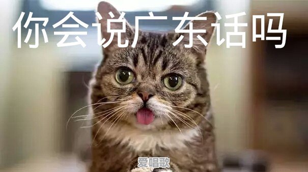 广州天河怎么会有几十万这么便宜的二手房 - 爱唱歌