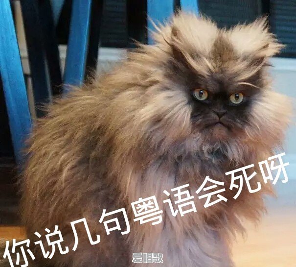 广州天河怎么会有几十万这么便宜的二手房 - 爱唱歌
