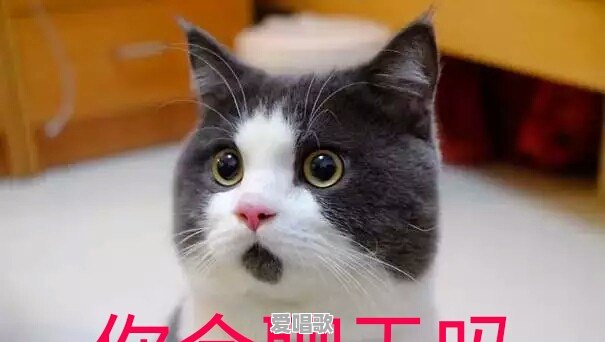 广州天河怎么会有几十万这么便宜的二手房 - 爱唱歌