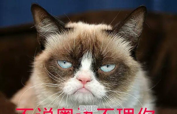 广州天河怎么会有几十万这么便宜的二手房 - 爱唱歌