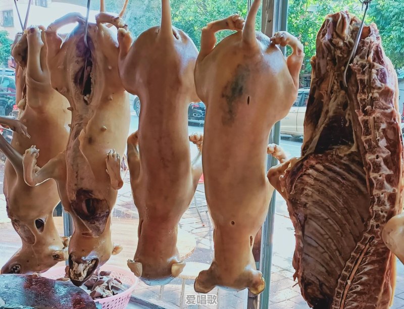 8月2日去湛江奥体中心看演唱会,住哪里好?看完演唱会想玩两天,有推荐路线吗 8月2日去湛江奥体中心看演唱会,住哪里好?看完演唱会想玩两天,有推荐路线吗 - 爱唱歌