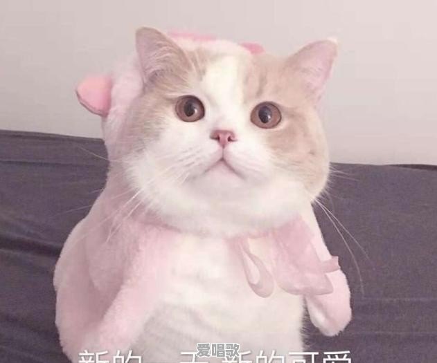 有哪些特别好看、超级甜的韩剧推荐 有哪些特别好看、超级甜的韩剧推荐 - 爱唱歌