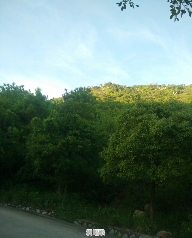 现存的歌手中，歌迷最多的歌手是谁，有平台数据统计吗 - 爱唱歌