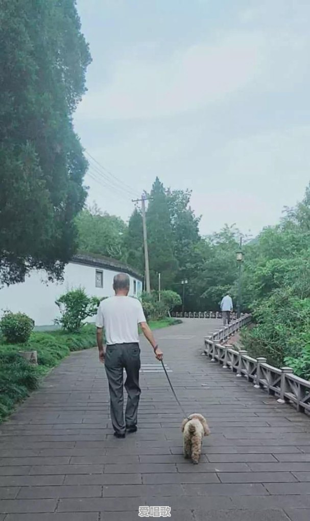 一个中年人,如何排解孤独感?想学习一个乐器或唱歌能实现吗 一个中年人,如何排解孤独感?想学习一个乐器或唱歌能实现吗 - 爱唱歌