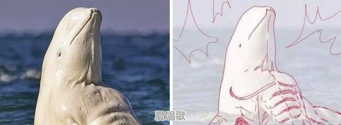 有哪些恶搞的网络图片分享 有哪些恶搞的网络图片分享 - 爱唱歌