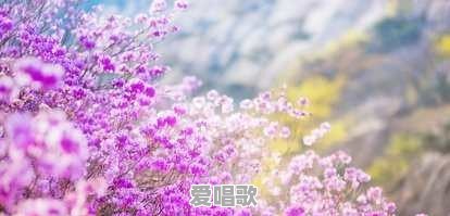 哪些歌曲的歌名或者内容里出现了人名 哪些歌曲的歌名或者内容里出现了人名 - 爱唱歌