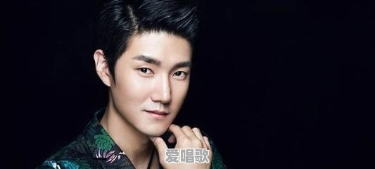 歌手王晰参加的那一期 歌手王晰参加的那一期 - 爱唱歌