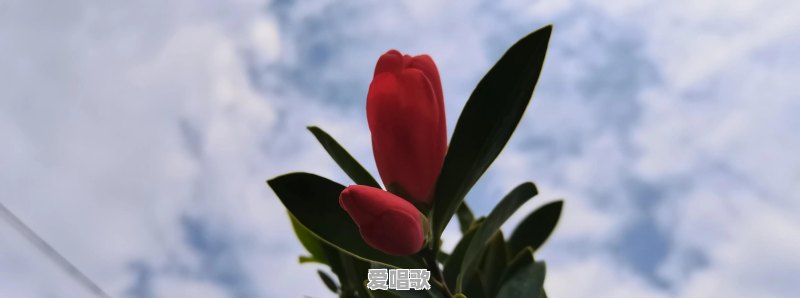 一个20来岁的小伙子唱邓丽君韩宝仪他们那个年代的歌是什么感觉 一个20来岁的小伙子唱邓丽君韩宝仪他们那个年代的歌是什么感觉 - 爱唱歌