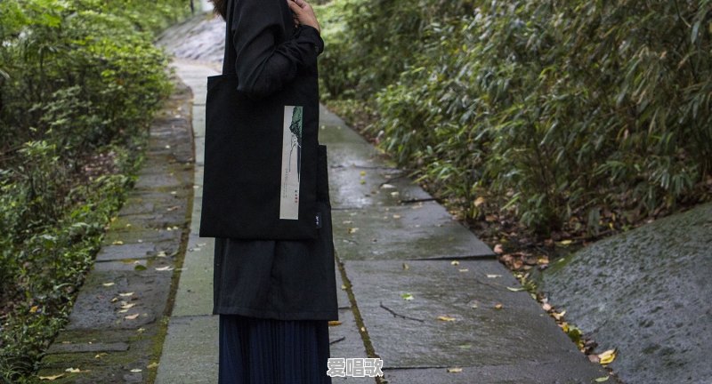 还记得《相约1998》吗,你希望王菲和那英再次聚首吗 还记得《相约1998》吗,你希望王菲和那英再次聚首吗 - 爱唱歌