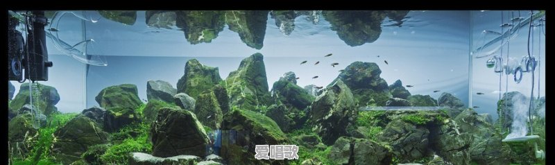 语音转文字的工具哪个好用 语音转文字的工具哪个好用 - 爱唱歌
