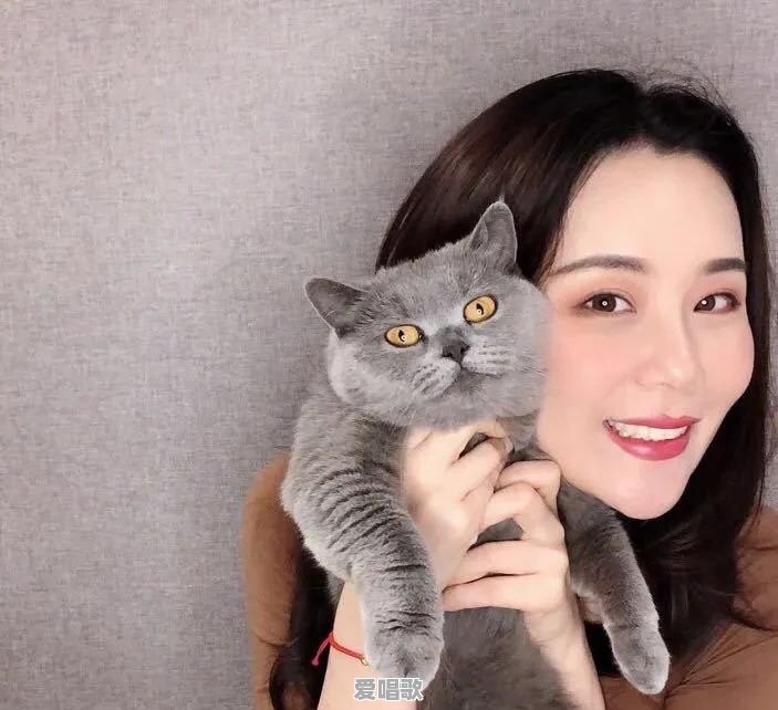 学习美声基础对唱流行歌曲有帮助吗 学习美声基础对唱流行歌曲有帮助吗 - 爱唱歌